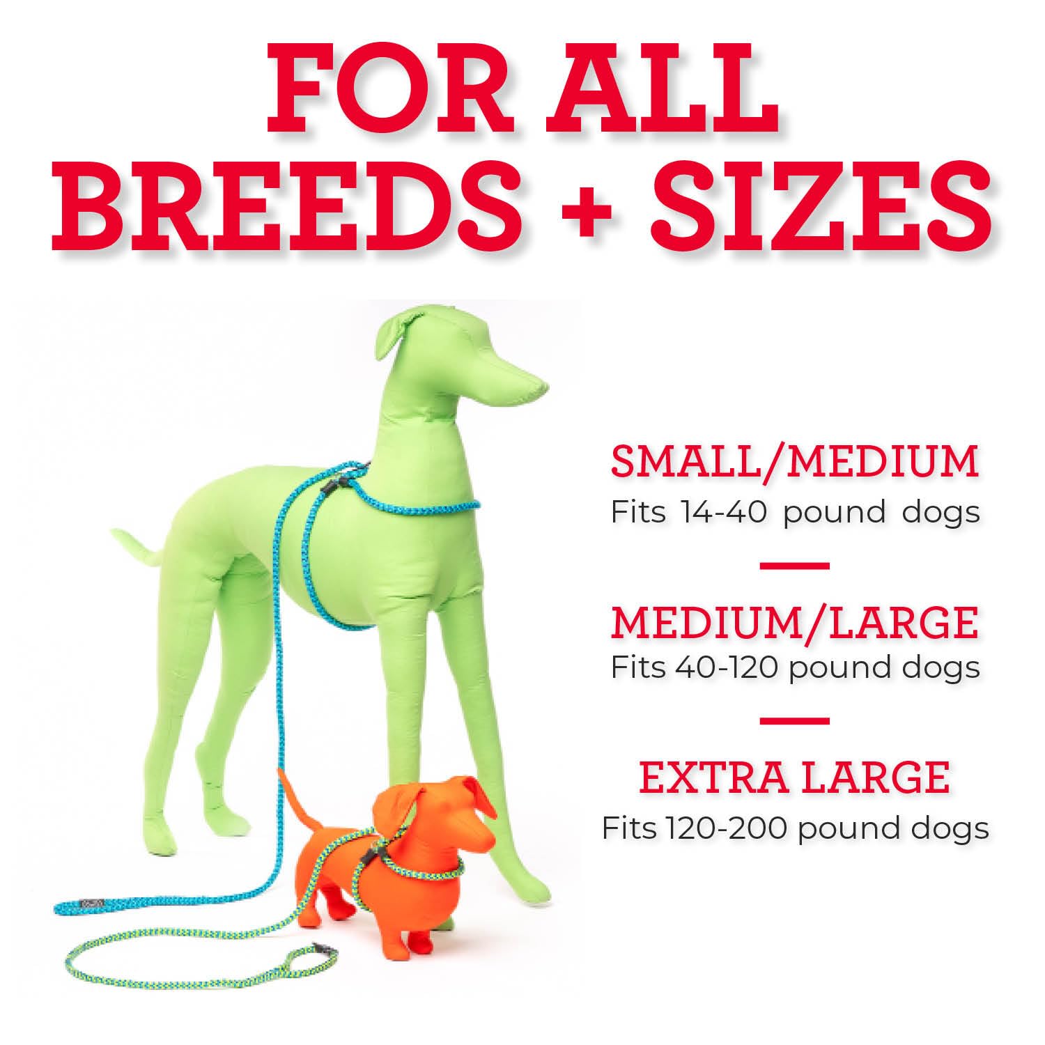 Harness Lead tallas para perros de distintos tamaños con ajuste ideal