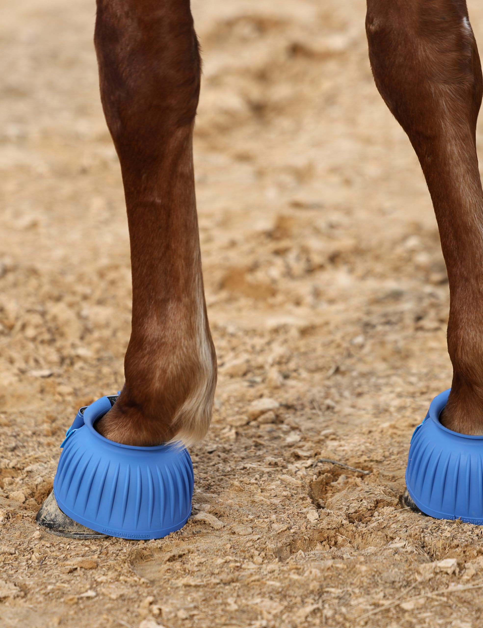 Harrison Howard botas campana cuero impermeable para uso exterior.