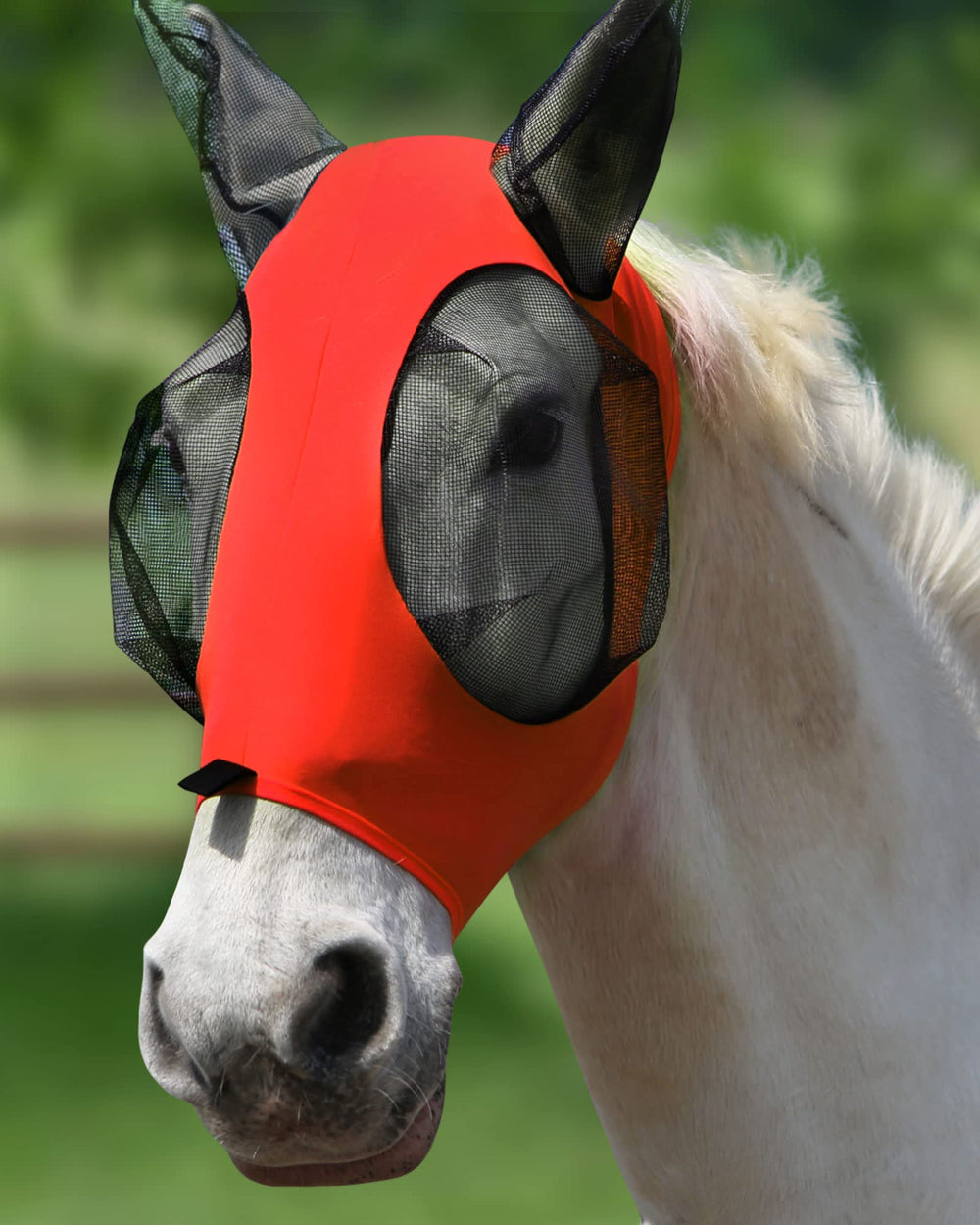 Harrison Howard malla antimoscas elástica con visión amplia para el caballo