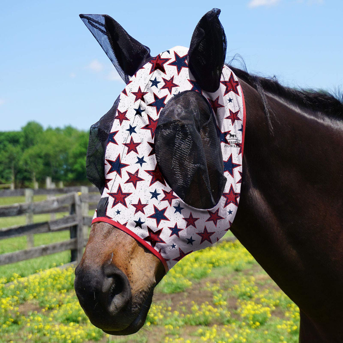 Máscara Harrison Howard para caballo, frente visible y ajuste cómodo.