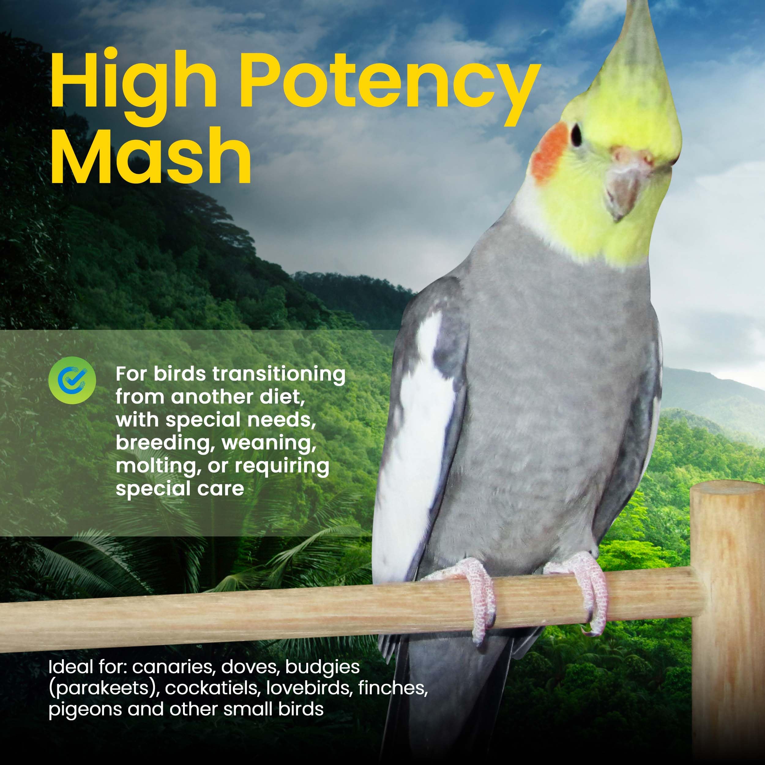 Aves en muda consumen Harrison's Mash, apoyo suave durante la muda