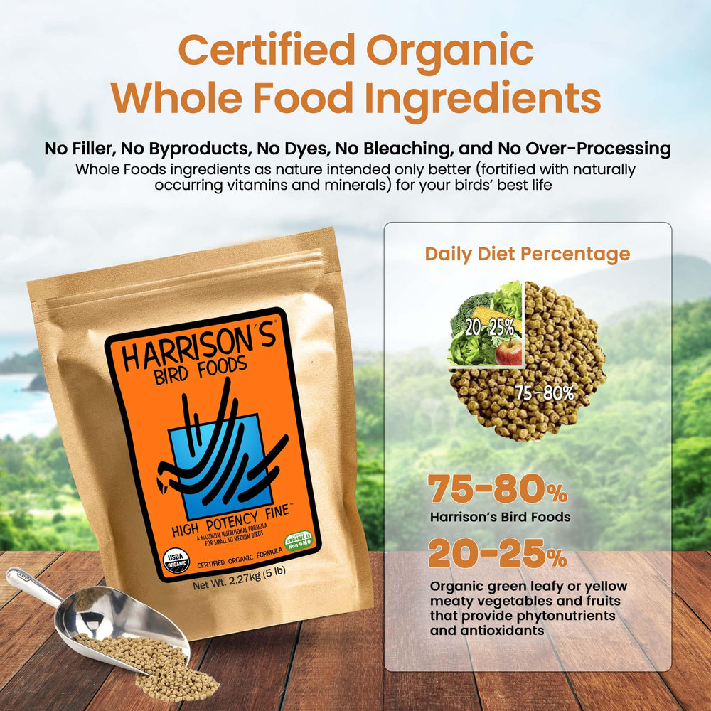 Harrison's Bird Foods: apto-todas-las-etapas promueve desarrollo equilibrado en todas las edades.