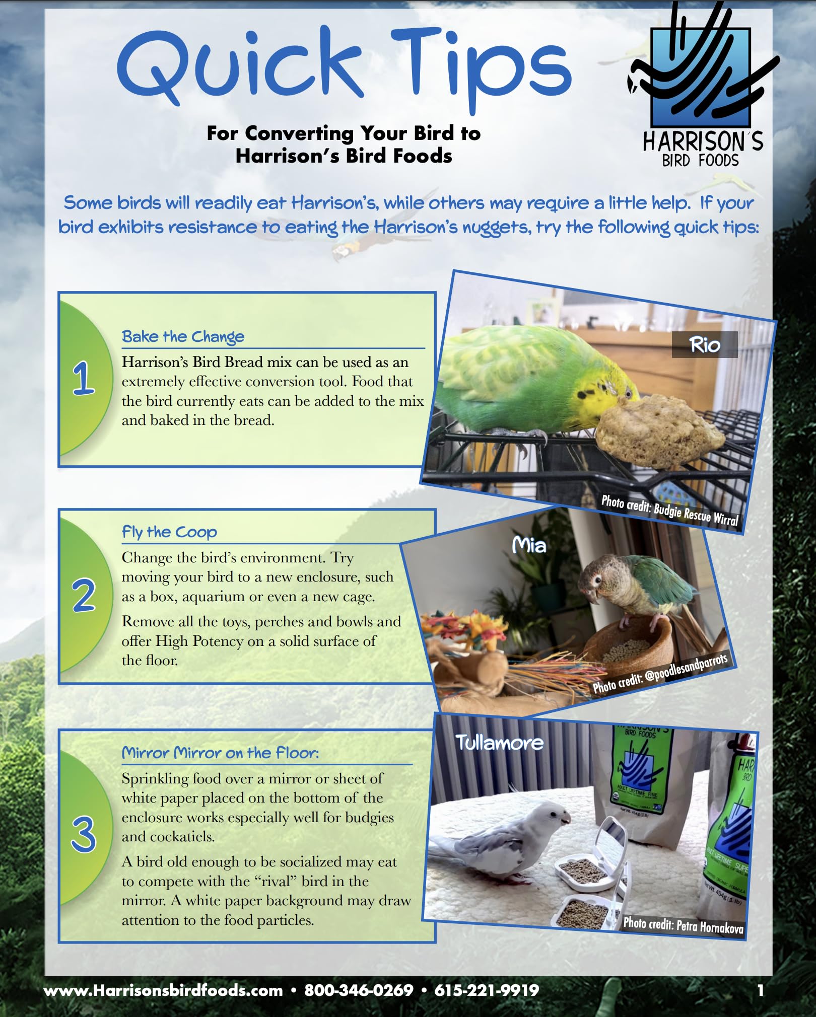 Harrison's Adult Lifetime Coarse, granulado de granos enteros, dieta estable para aves.