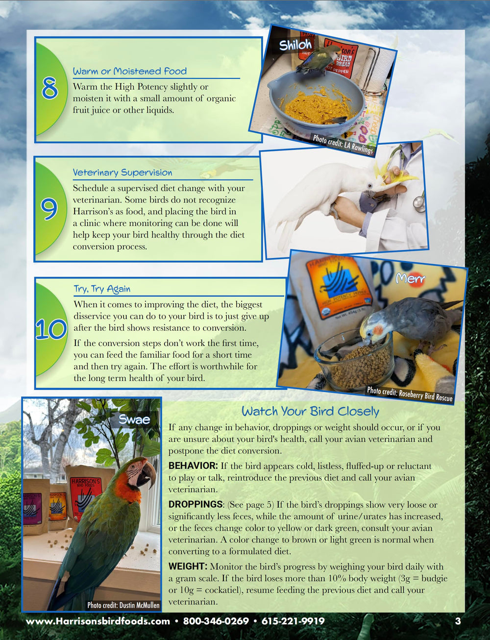 Fórmula Harrison's para aves pequeñas y medianas, mantenimiento diario