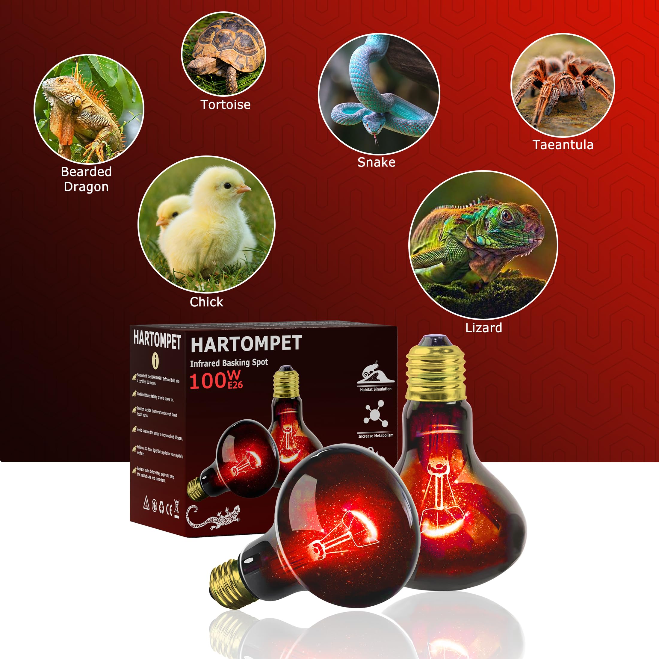 HARTOMPET 100W uso multiespecies para reptiles, aves y mamíferos pequeños.