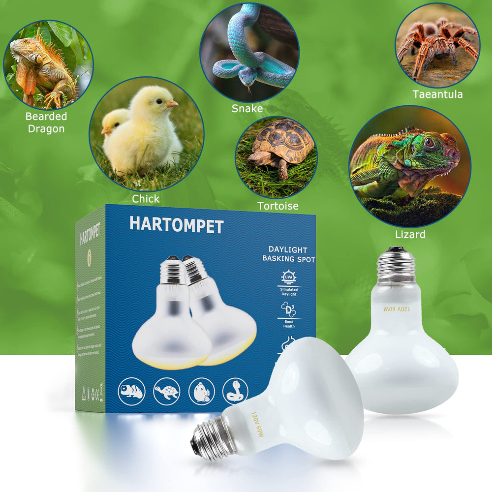 Empaque cuidadoso de HARTOMPET para evitar daños durante el envío