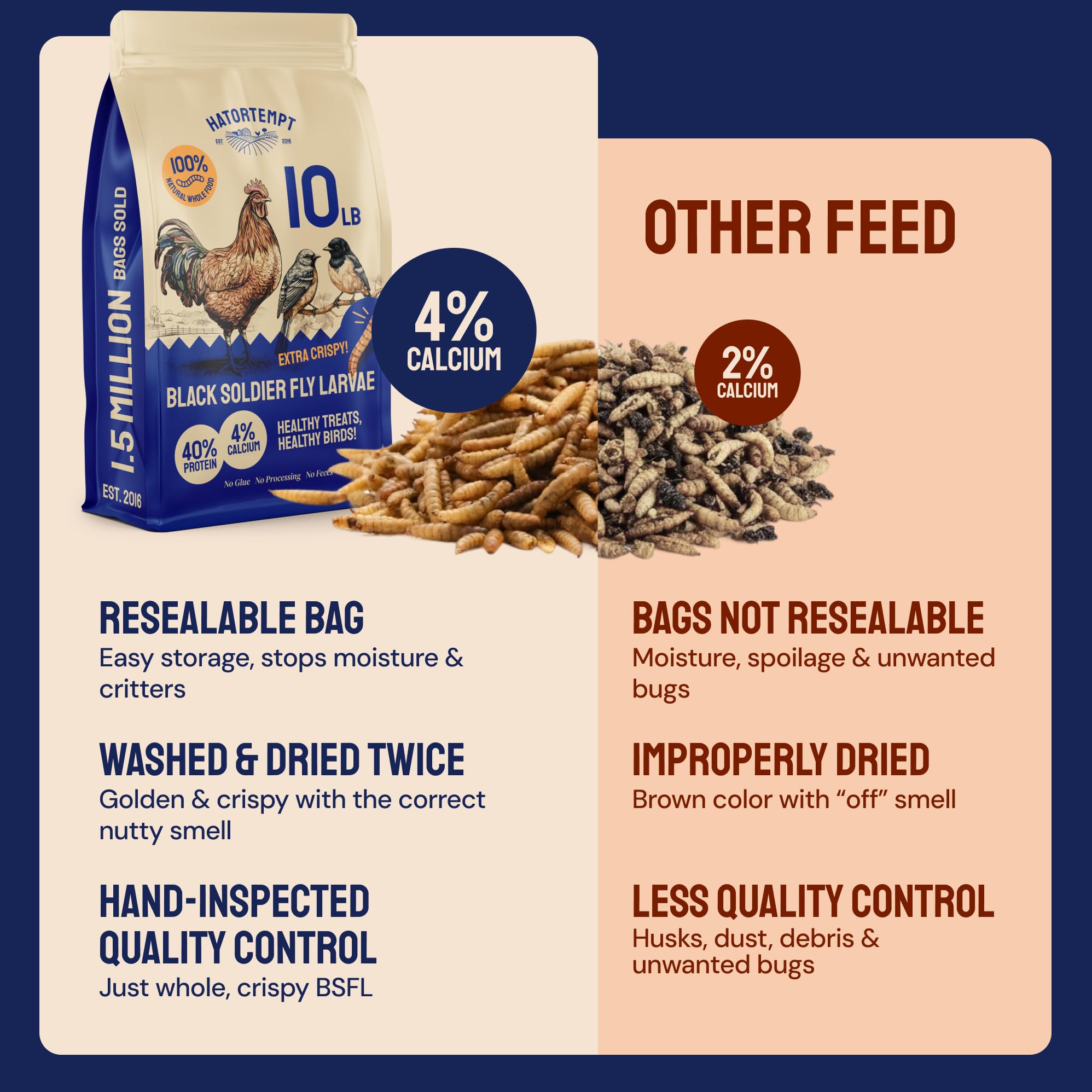 Hatortempt para codornices, snack proteico y sabroso