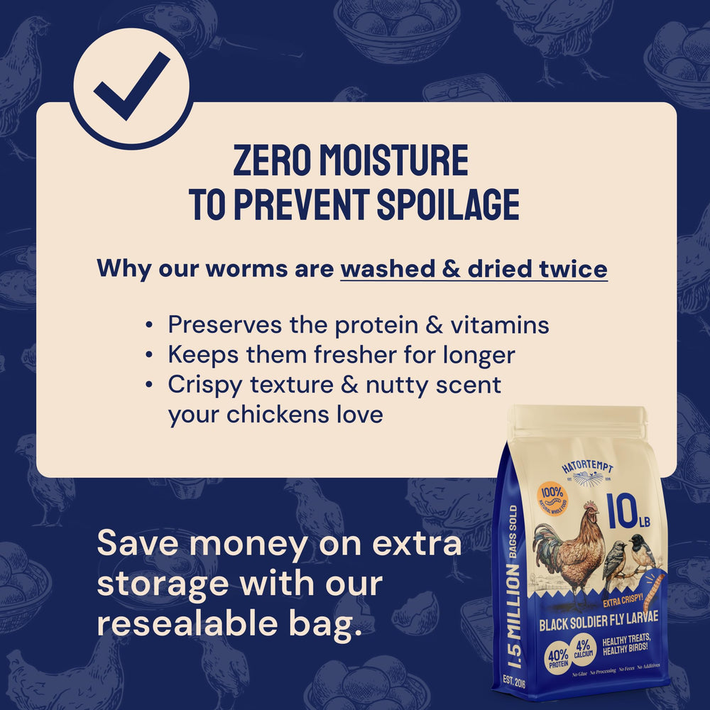 Hatortempt para pájaros azules, snack de calcio y proteína