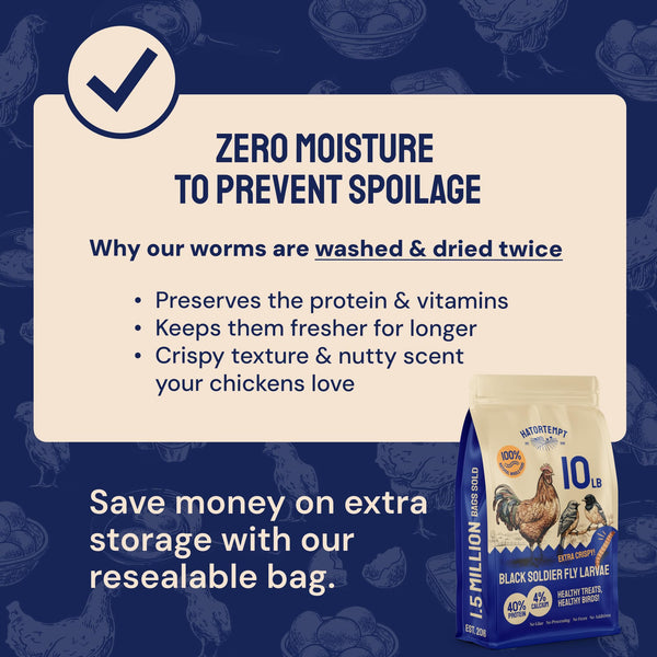 Hatortempt para pájaros azules, snack de calcio y proteína