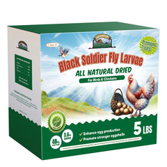 Hatortop BSF larvas 5lb, empaque frontal, alimento rico en calcio para gallinas ponedoras.