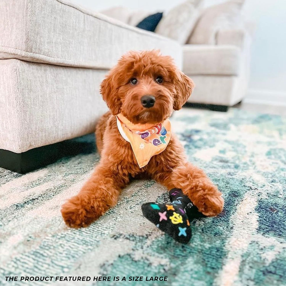 Haute Diggity Dog Chewy Vuiton diseño parodia – perfecto para juegos de buscar y tirar