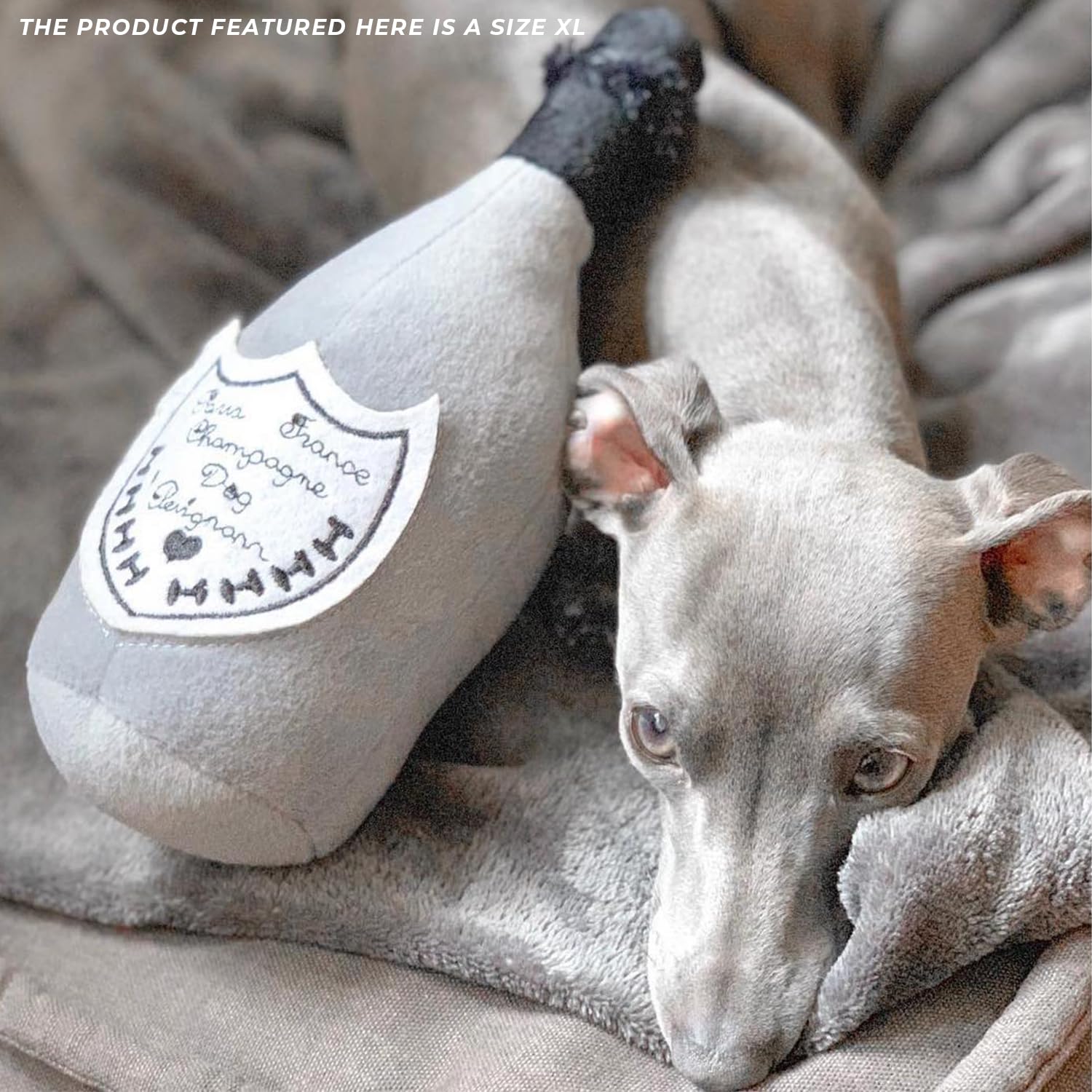 Lavable-en-maquina Champagne Perignonn Haute Diggity Dog para limpieza fácil.