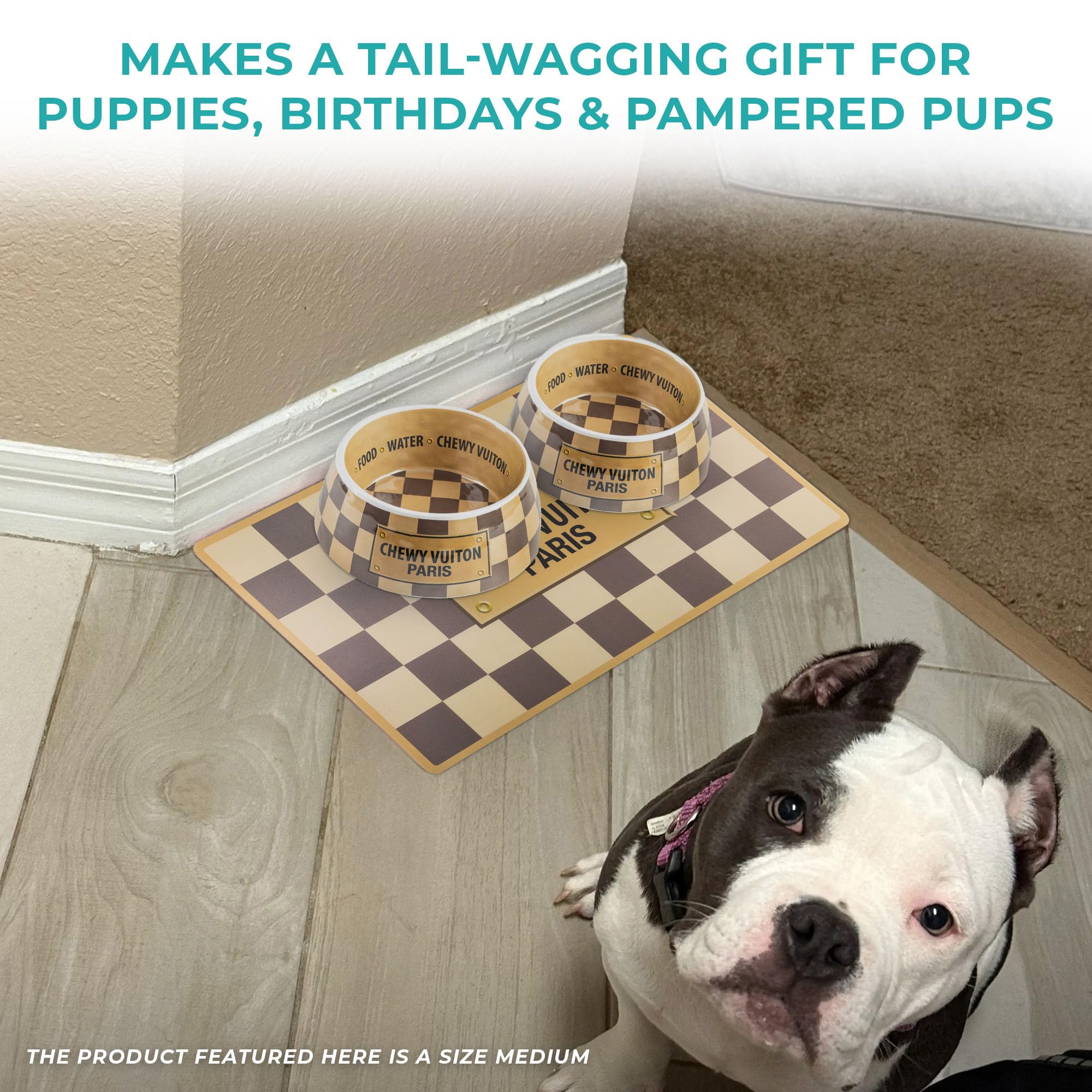 Tamaño mediano ideal para perros y gatos con porciones diarias.