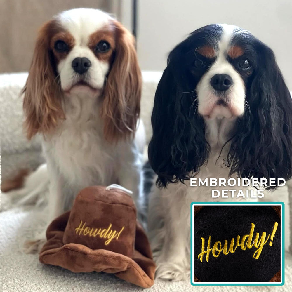 Haute Diggity Dog detalles bordados para estilo y diversión