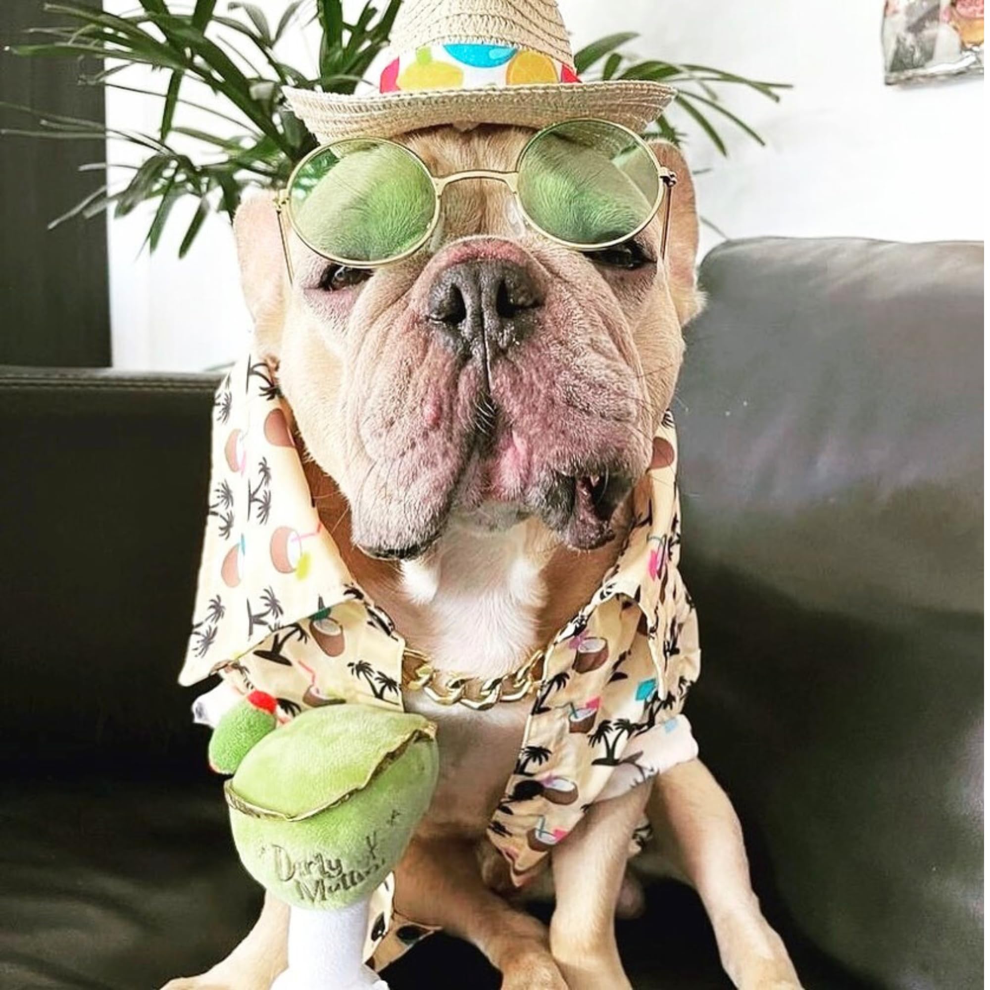 Dirty Muttini de Haute Diggity Dog, tamaño universal para perros de todas las razas y tamaños.
