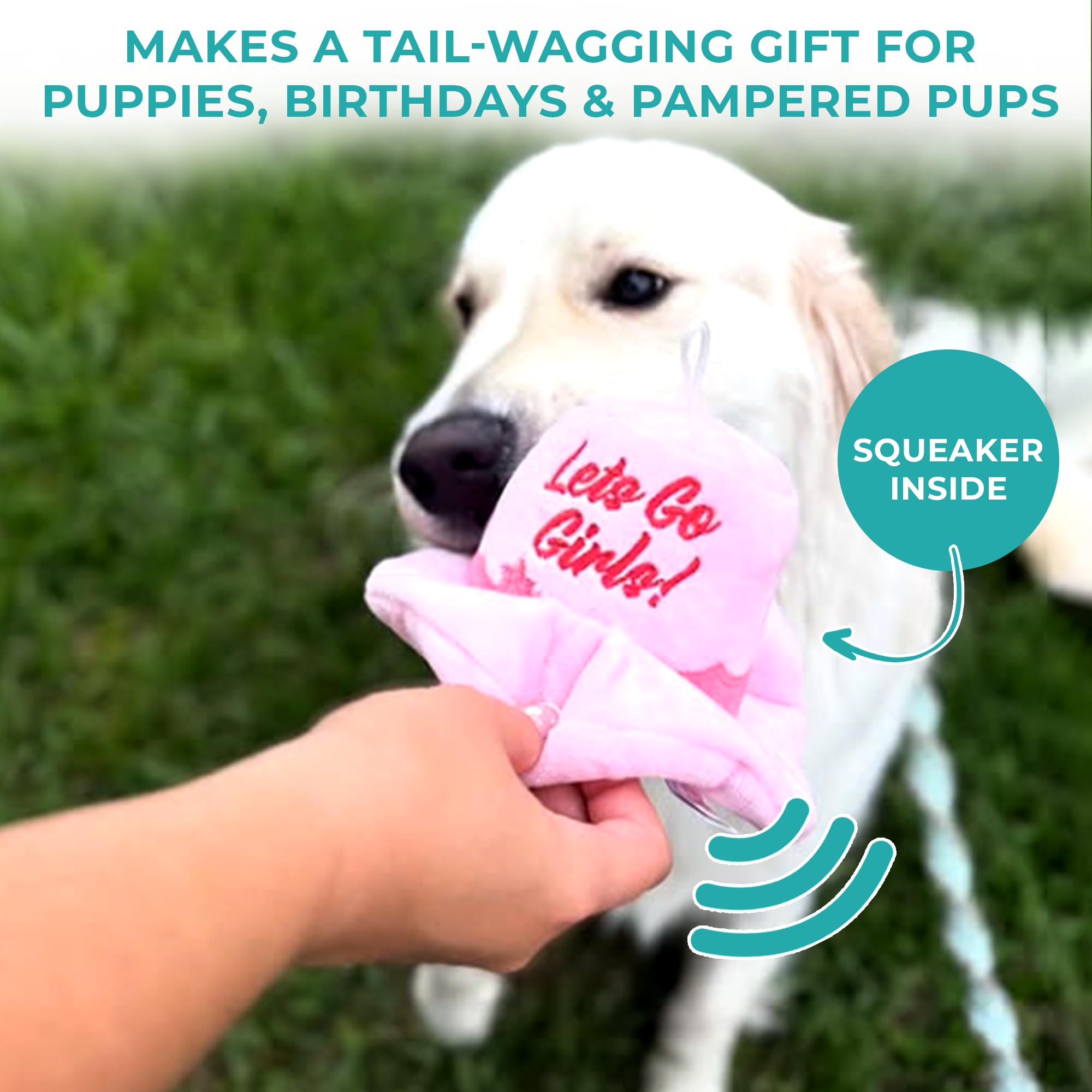 Haute Diggity Dog, diseño divertido para perros de tamaño medio y grande