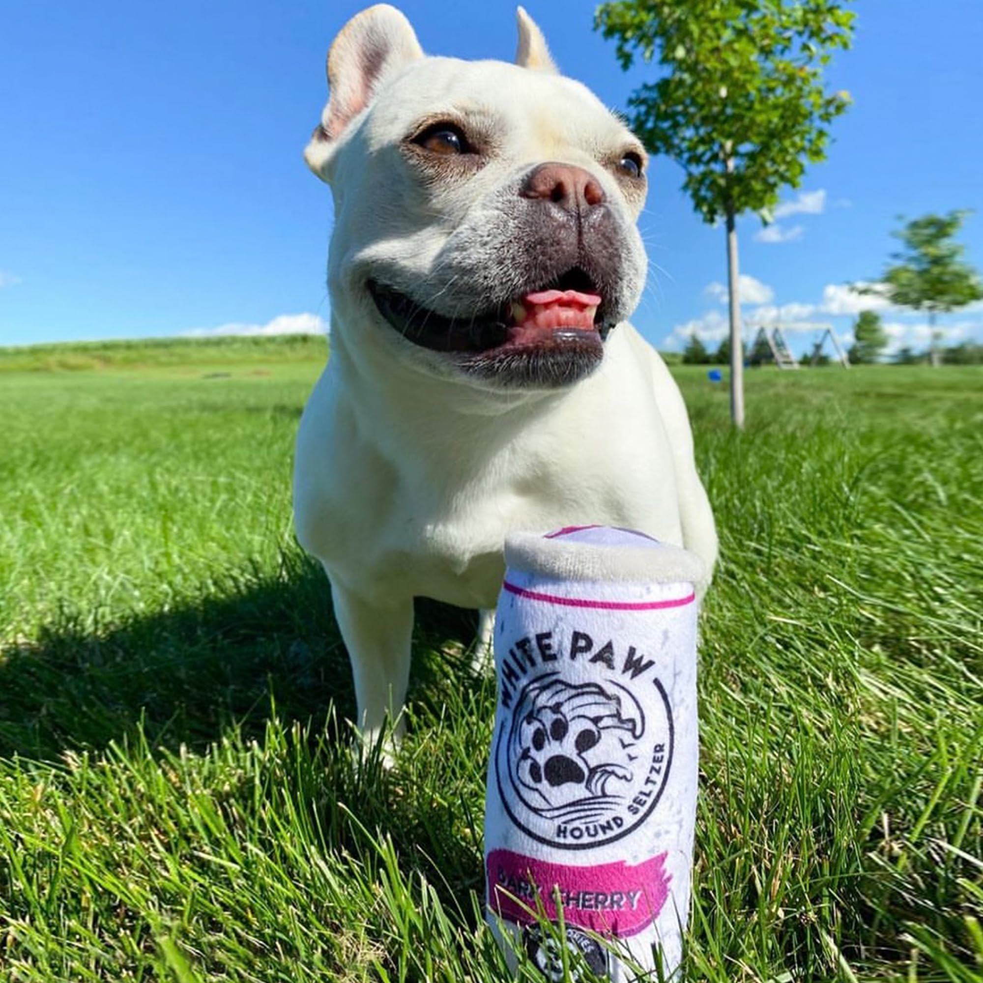Haute Diggity Dog Diseño único apto para todas las razas