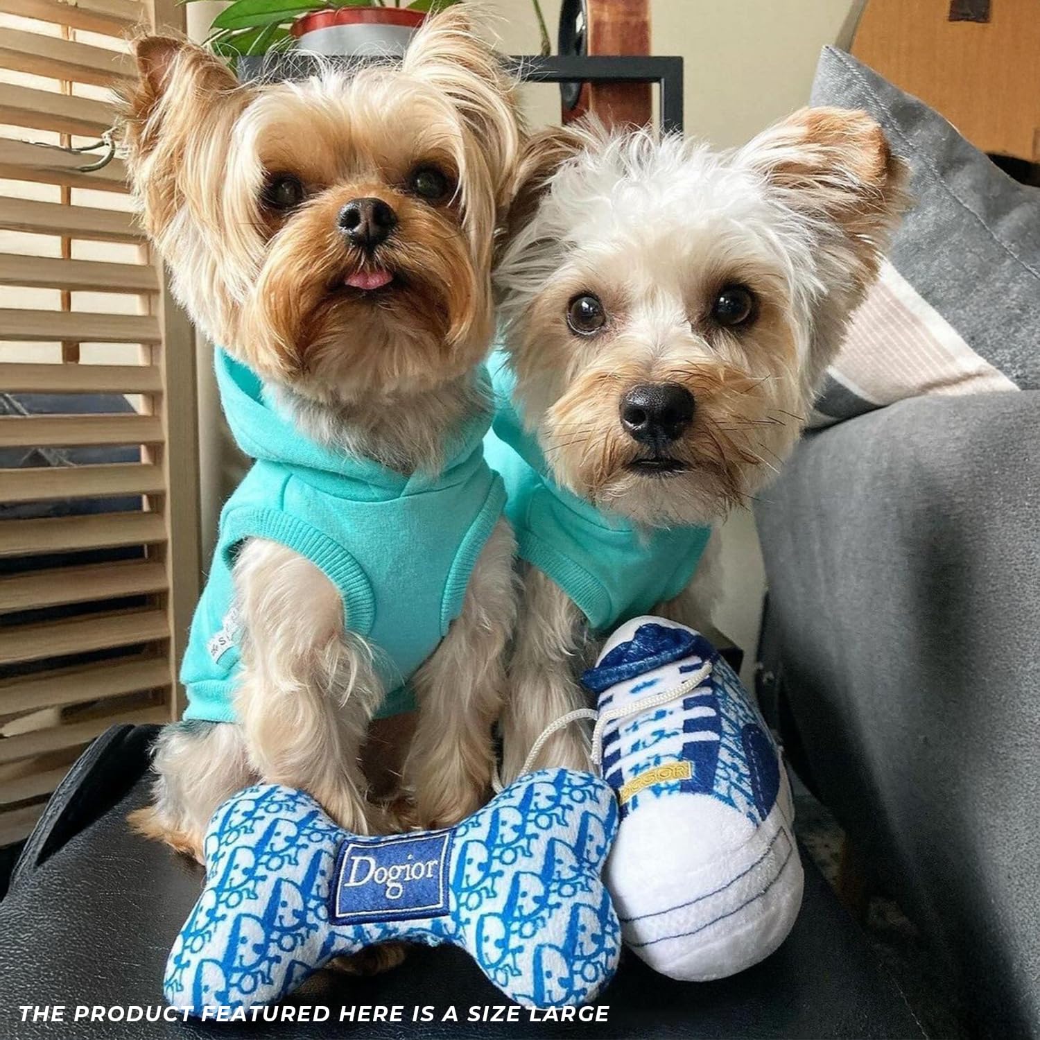 Dogior lavable a máquina: limpieza rápida y fácil