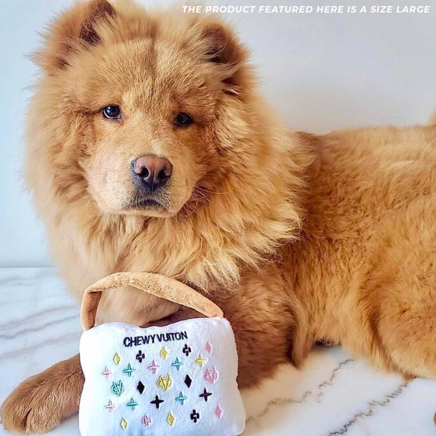Haute Diggity Dog estilo único: complemento perfecto para cualquier raza y momento de juego