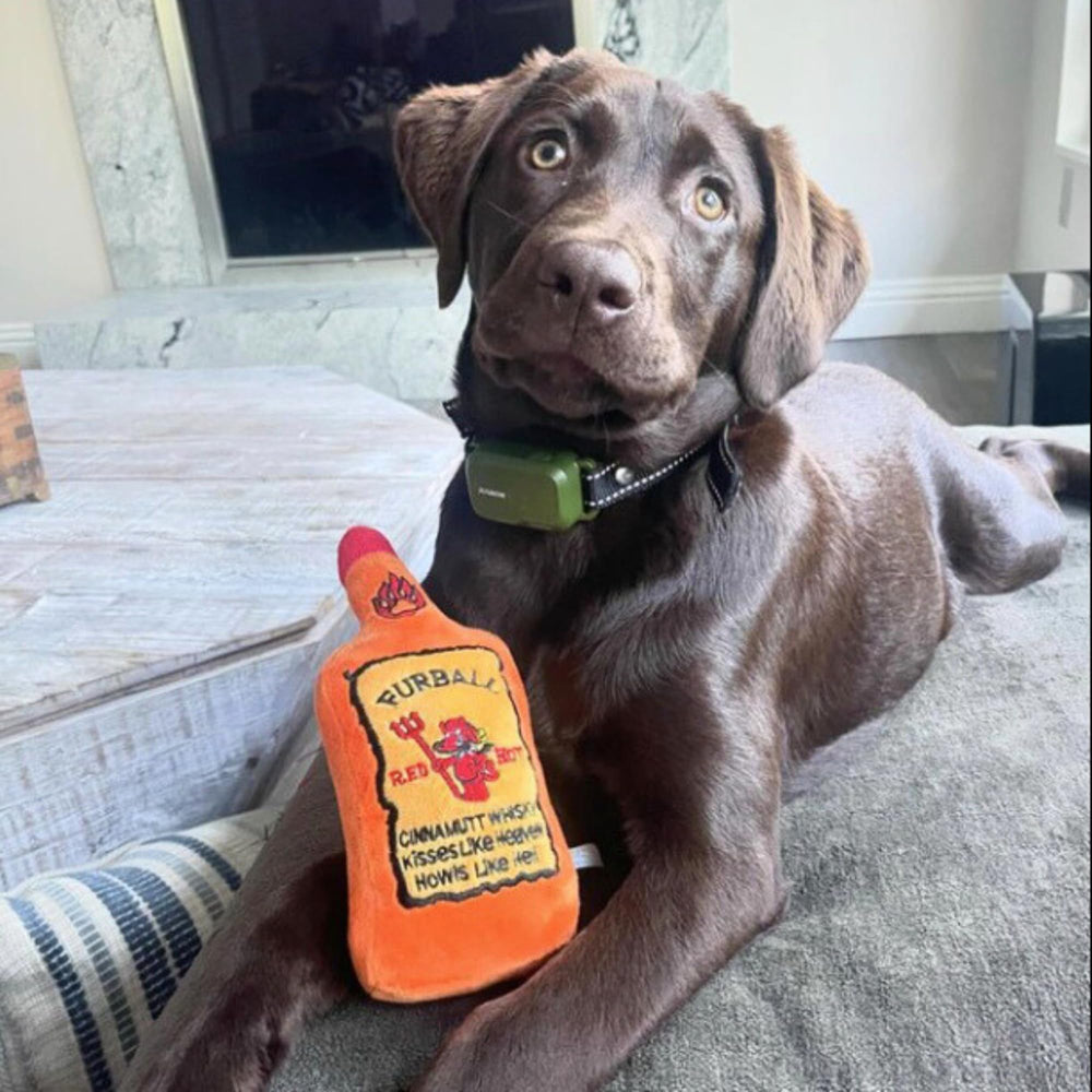 Haute Diggity Dog Furball Cinnamutt Whiskey: talla única para todas las razas, perfecta para casa