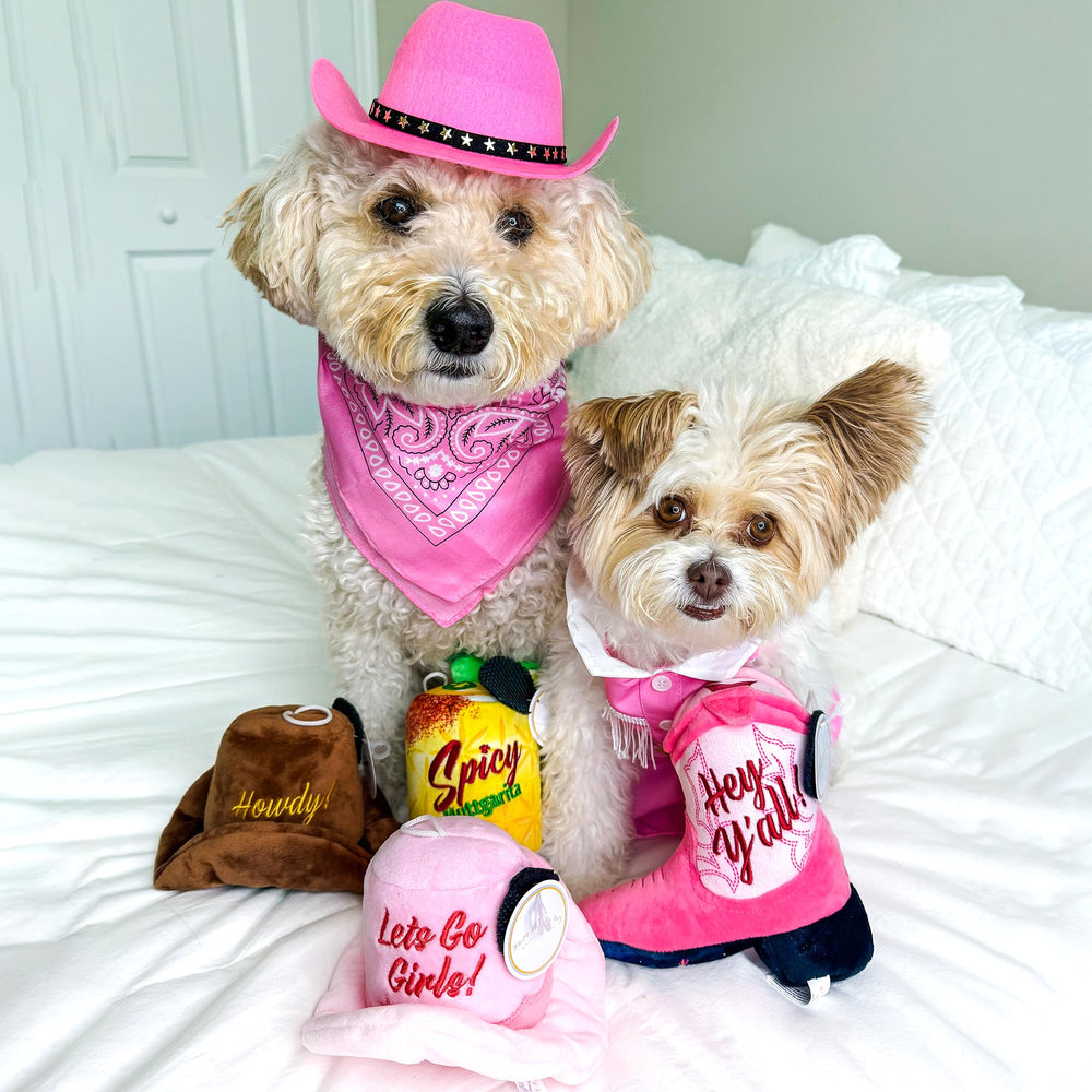 Haute Diggity Dog, fácil de lavar en máquina para limpieza rápida