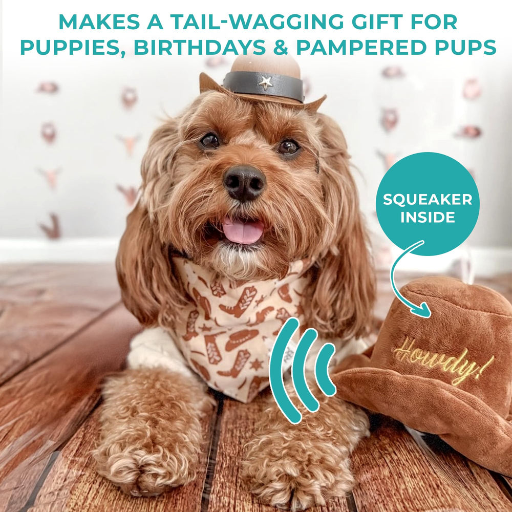 Haute Diggity Dog lavable a máquina para limpieza fácil