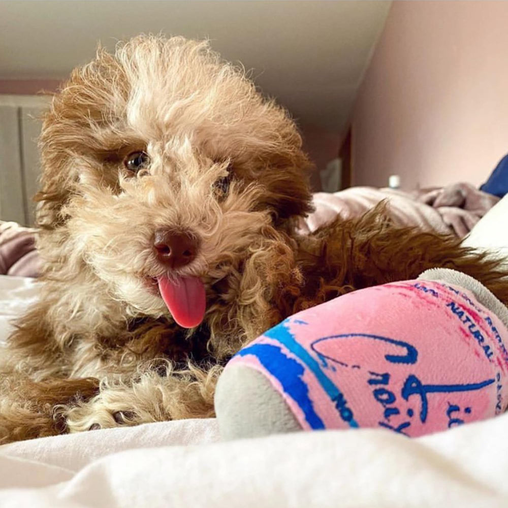 LickCroix Barkling Water Barkin Berry fomenta juegos seguros y repetitivos