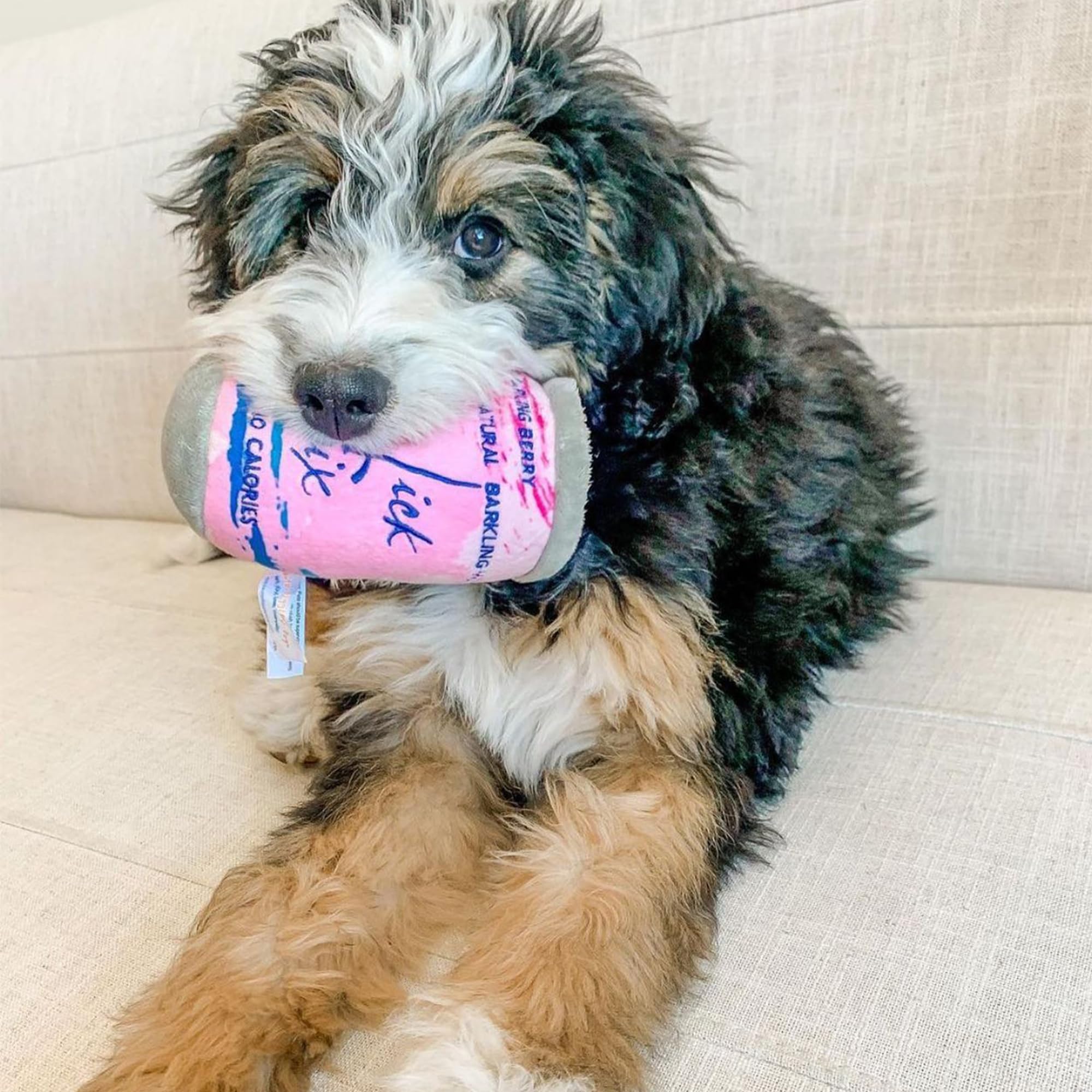 LickCroix Barkling Water Barkin Berry tamaño grande para razas grandes y juegos prolongados