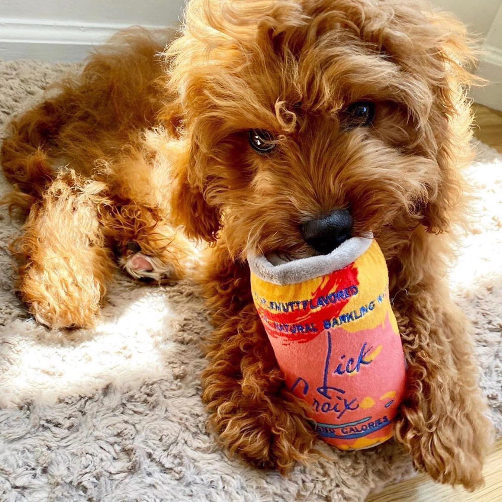 Haute Diggity Dog LickCroix Barkling Water Pamplemutt, regalo divertido para cachorros y perros de talla similar.