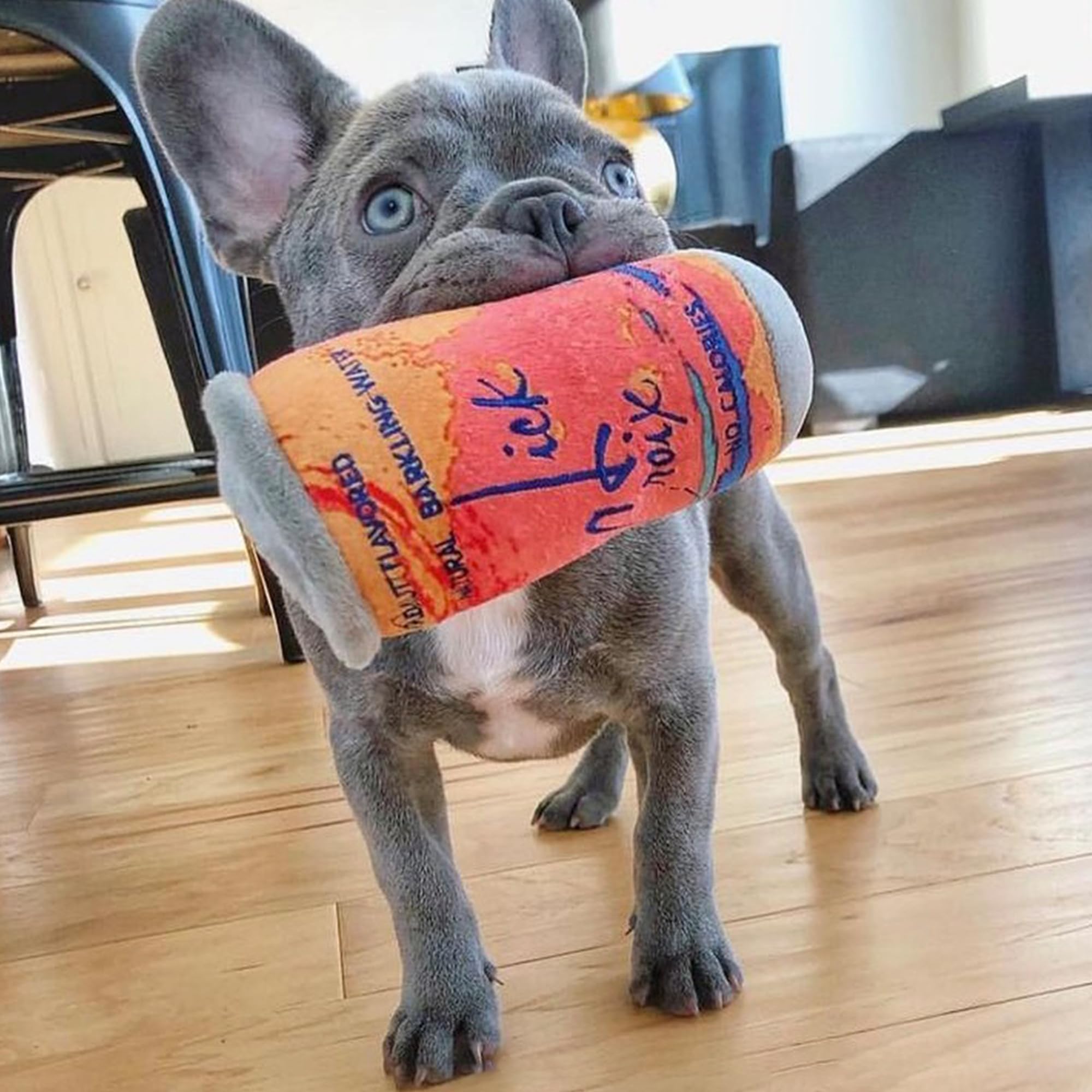 Haute Diggity Dog LickCroix Barkling Water Pamplemutt, tamaño grande ideal para razas grandes y juego de buscar.