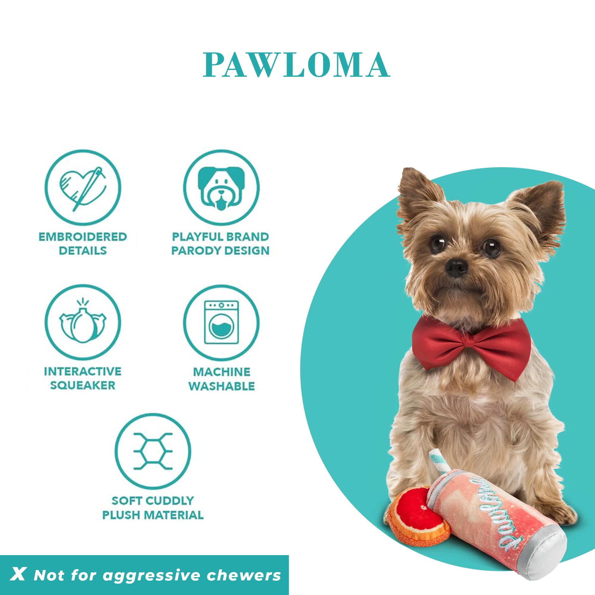 Diseños divertidos y elegantes para destacar en el parque canino
