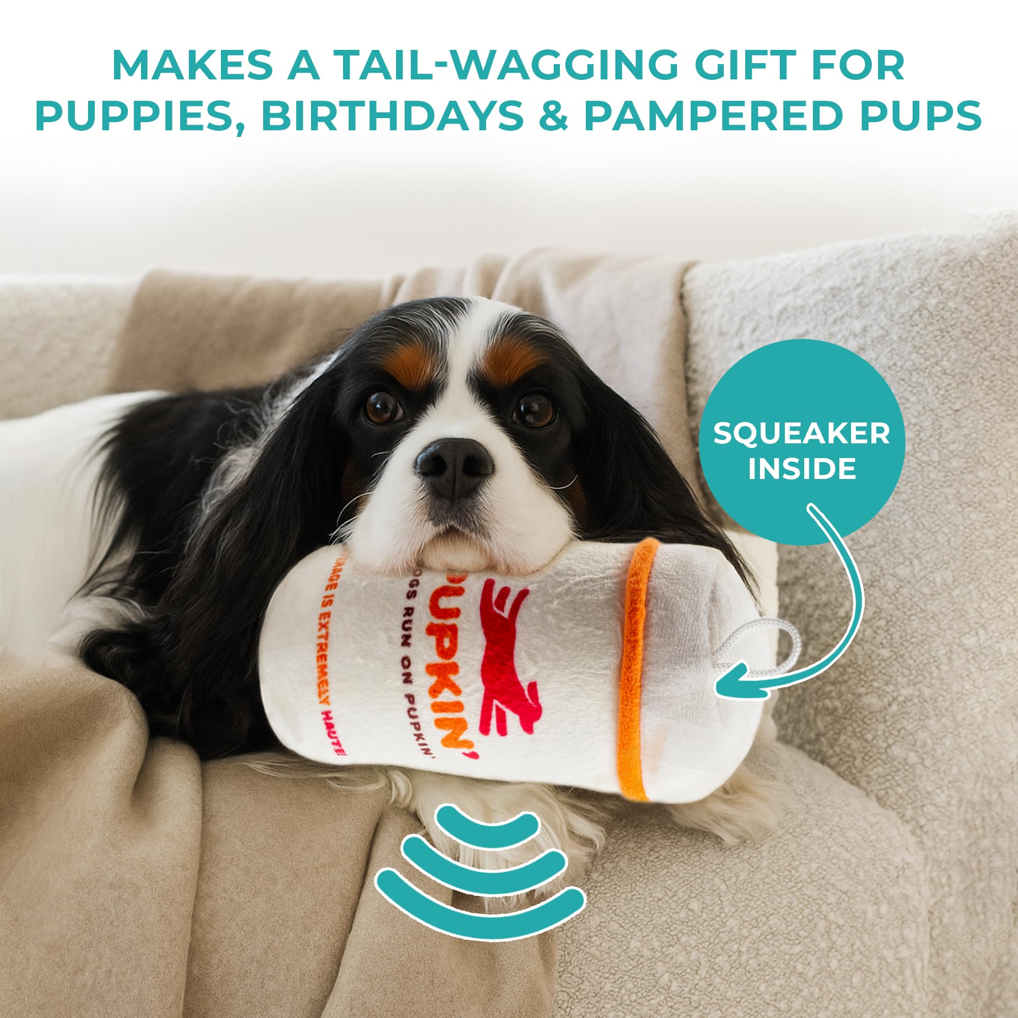 Haute Diggity Dog Pupkin Donuts: lavable a máquina, fácil de limpiar tras el juego