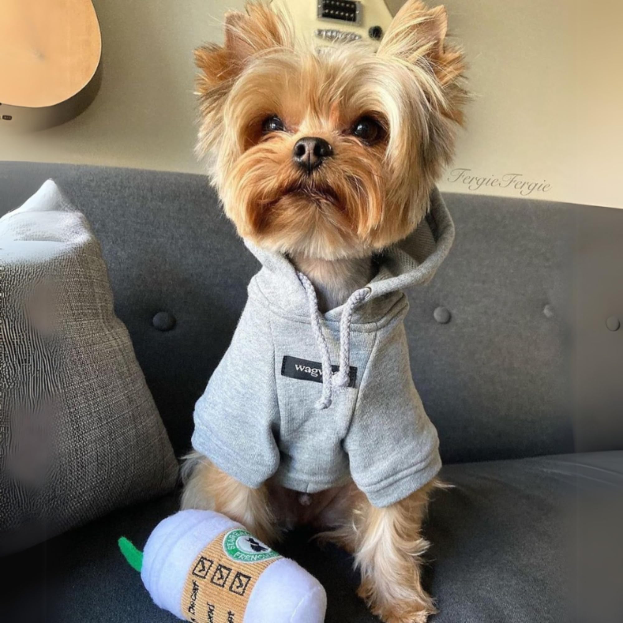 Starbarks Coffee Cup de Haute Diggity Dog, perfecto para juegos interactivos y enriquecimiento en casa