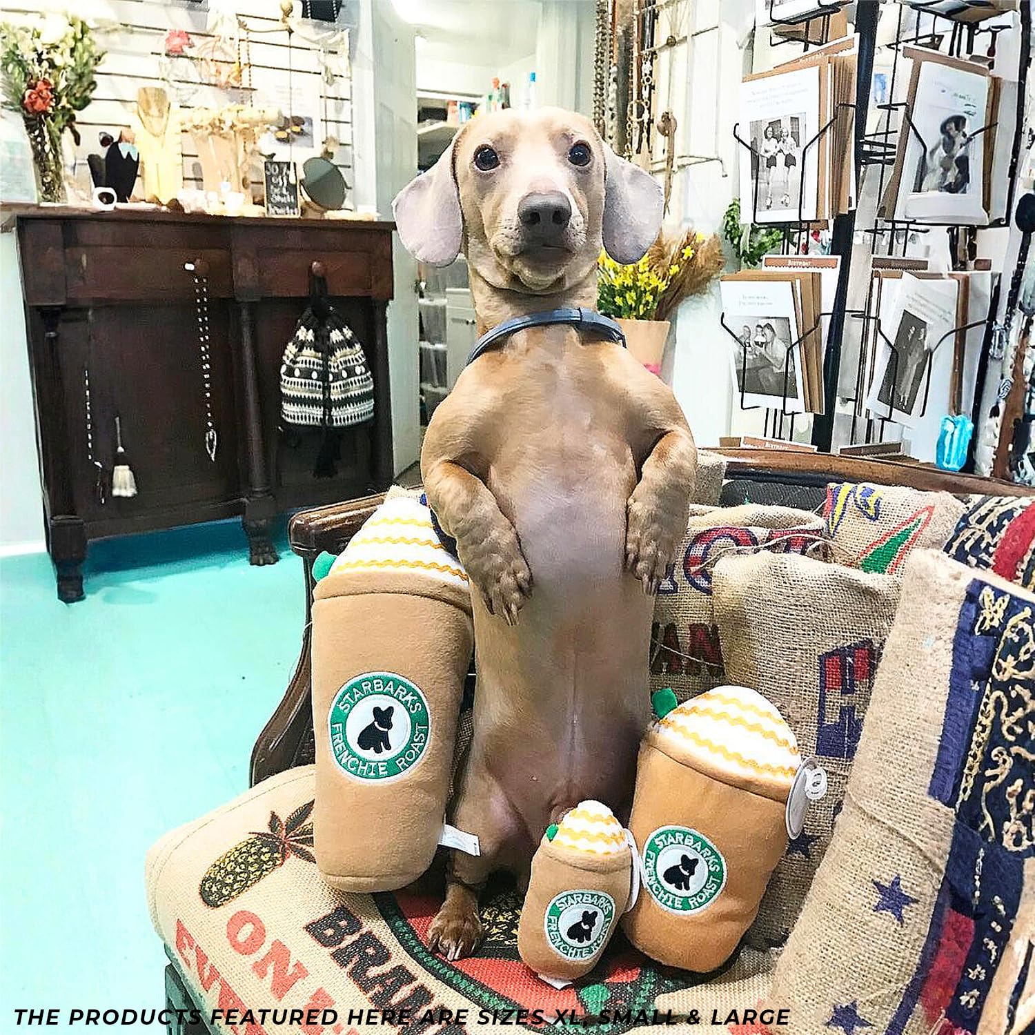 Apto para razas de todos los tamaños, ideal para perros grandes también.