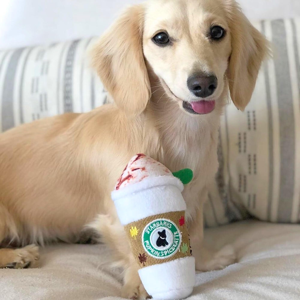 Starbarks Pupkin Spice Latte, lavable a máquina para limpieza rápida