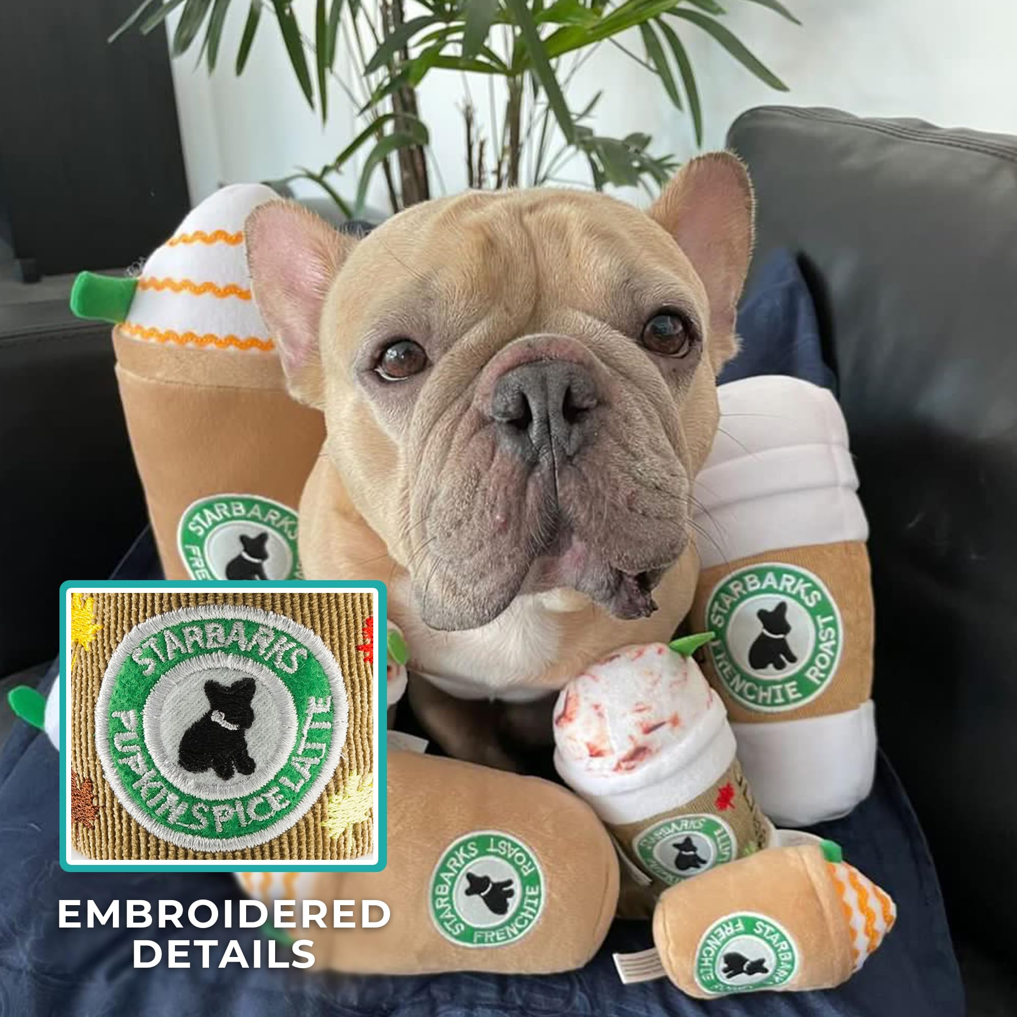 Starbarks Pupkin Spice Latte, talla única para todas las razas