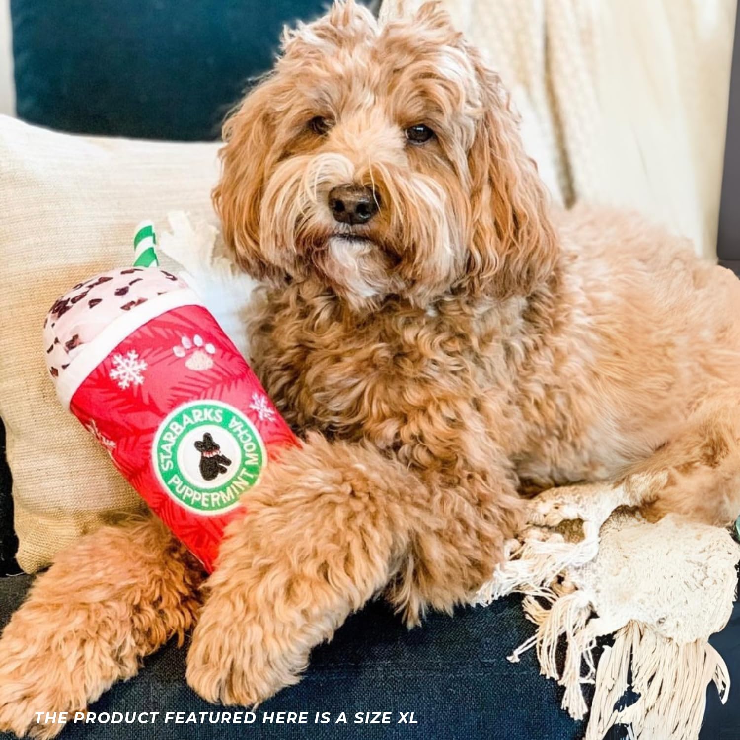 Starbarks Puppermint Mocha, regalo ideal para cachorros y perros.