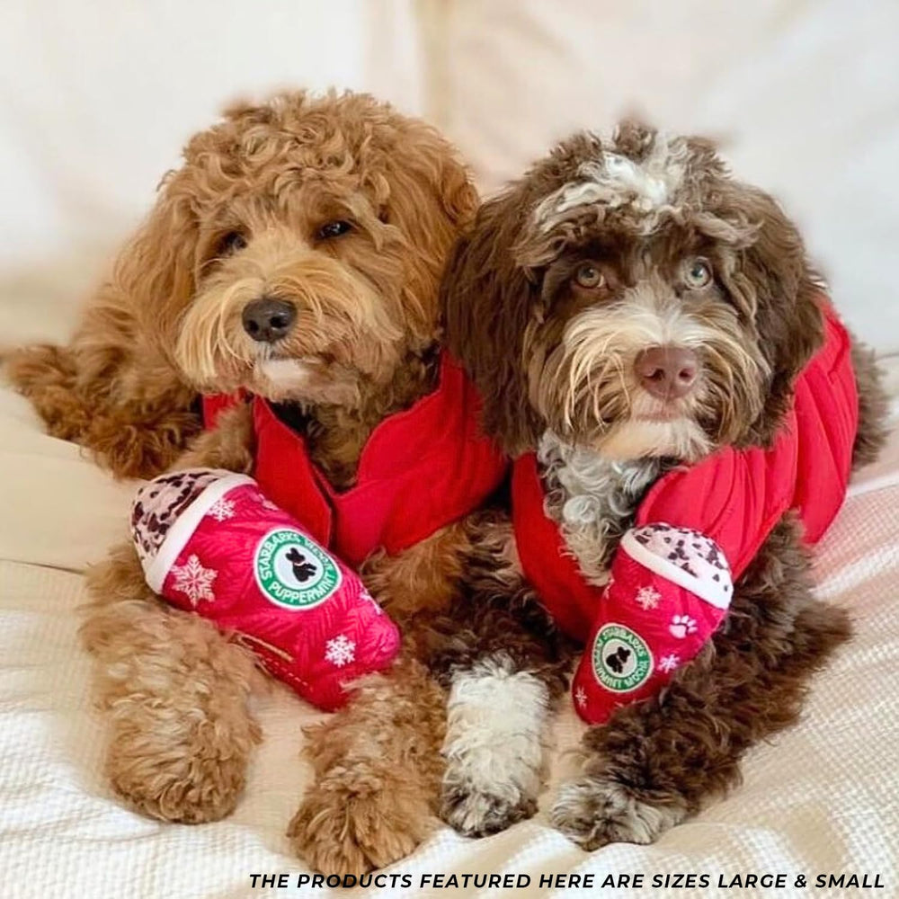 Haute Diggity Dog Starbarks Puppermint Mocha, regalo perfecto para cachorros y razas grandes en fiestas.