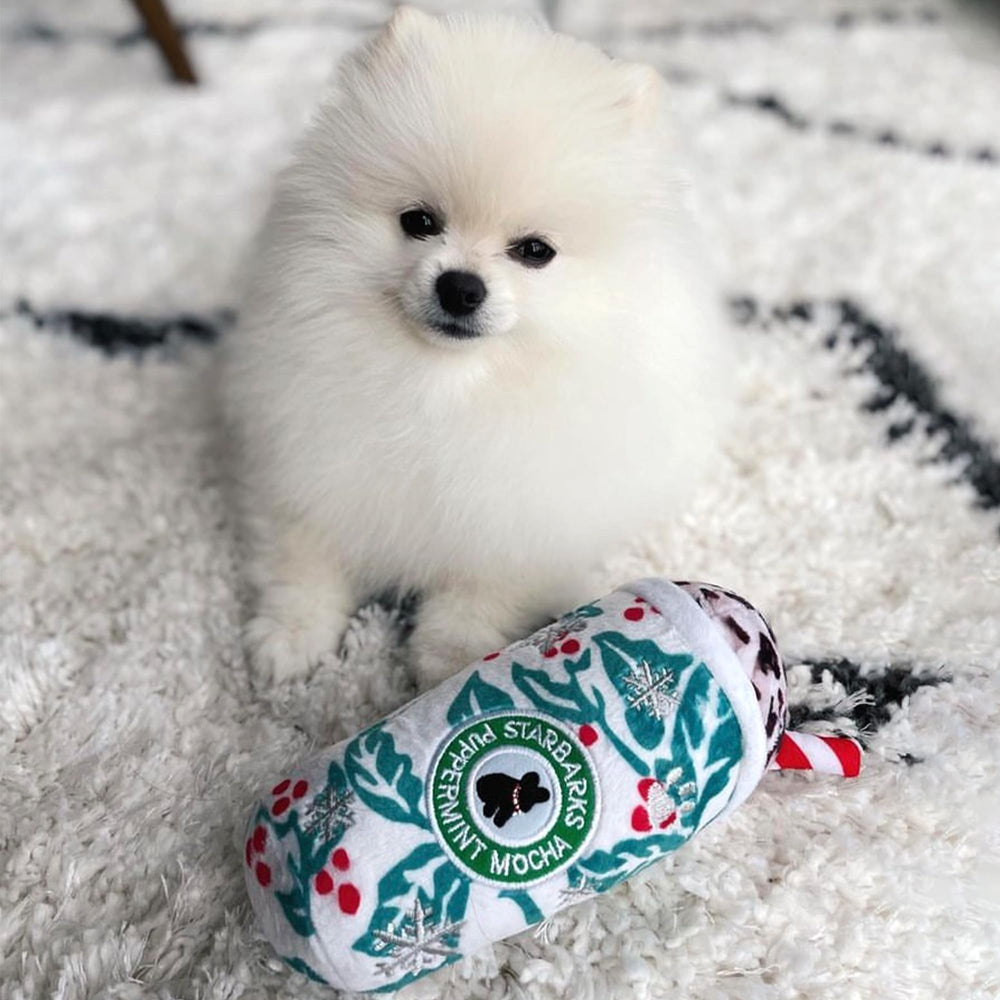 Starbarks Puppermint Mocha: regalo festivo ideal para perros de todos los tamaños.