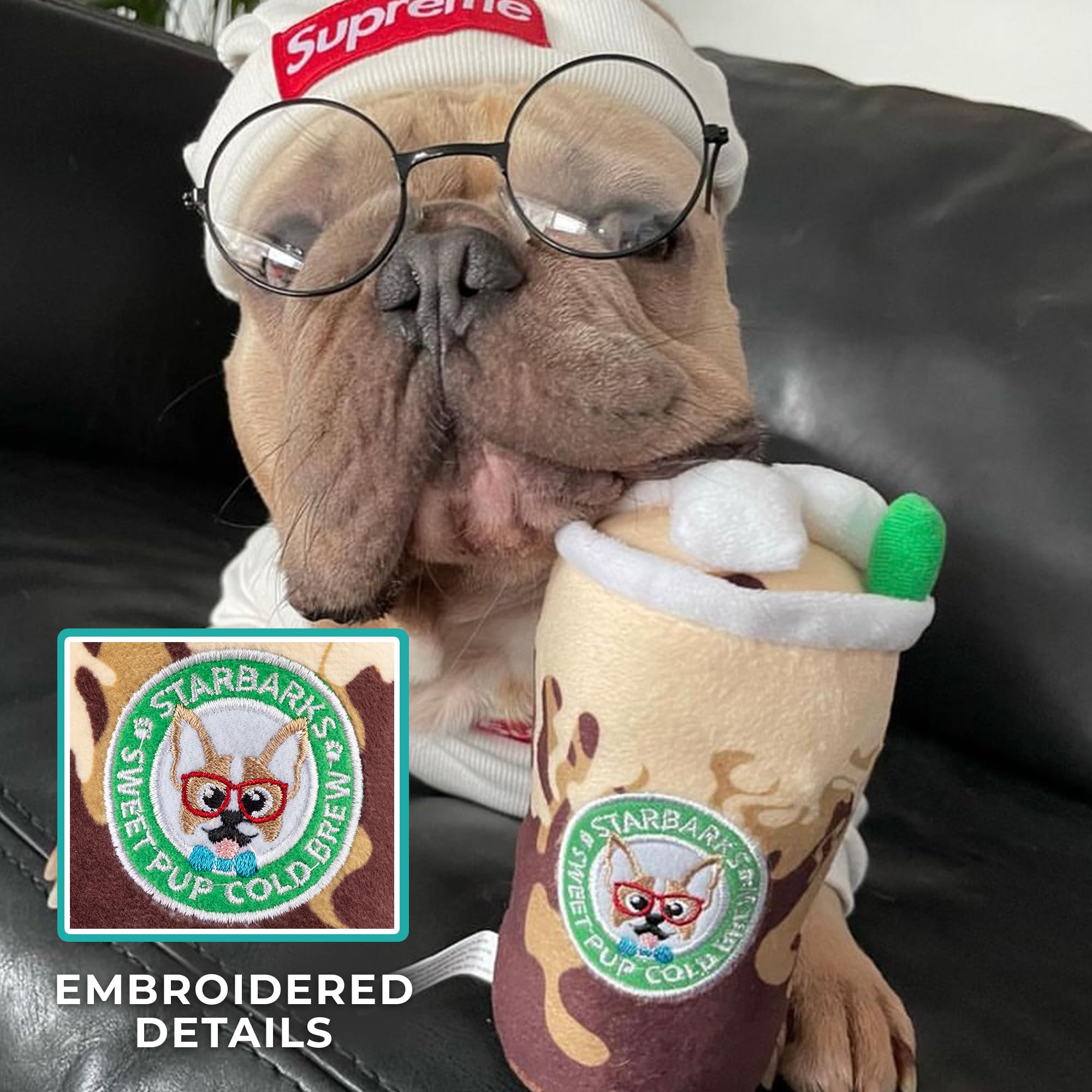 Starbarks Sweet Pup Cold Brew: diseño divertido y colorido para parques caninos.