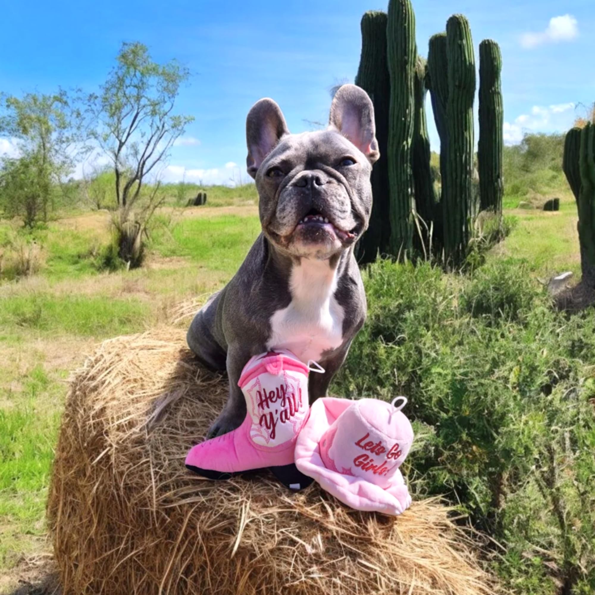 Haute Diggity Dog, juguete duradero y seguro para juego diario