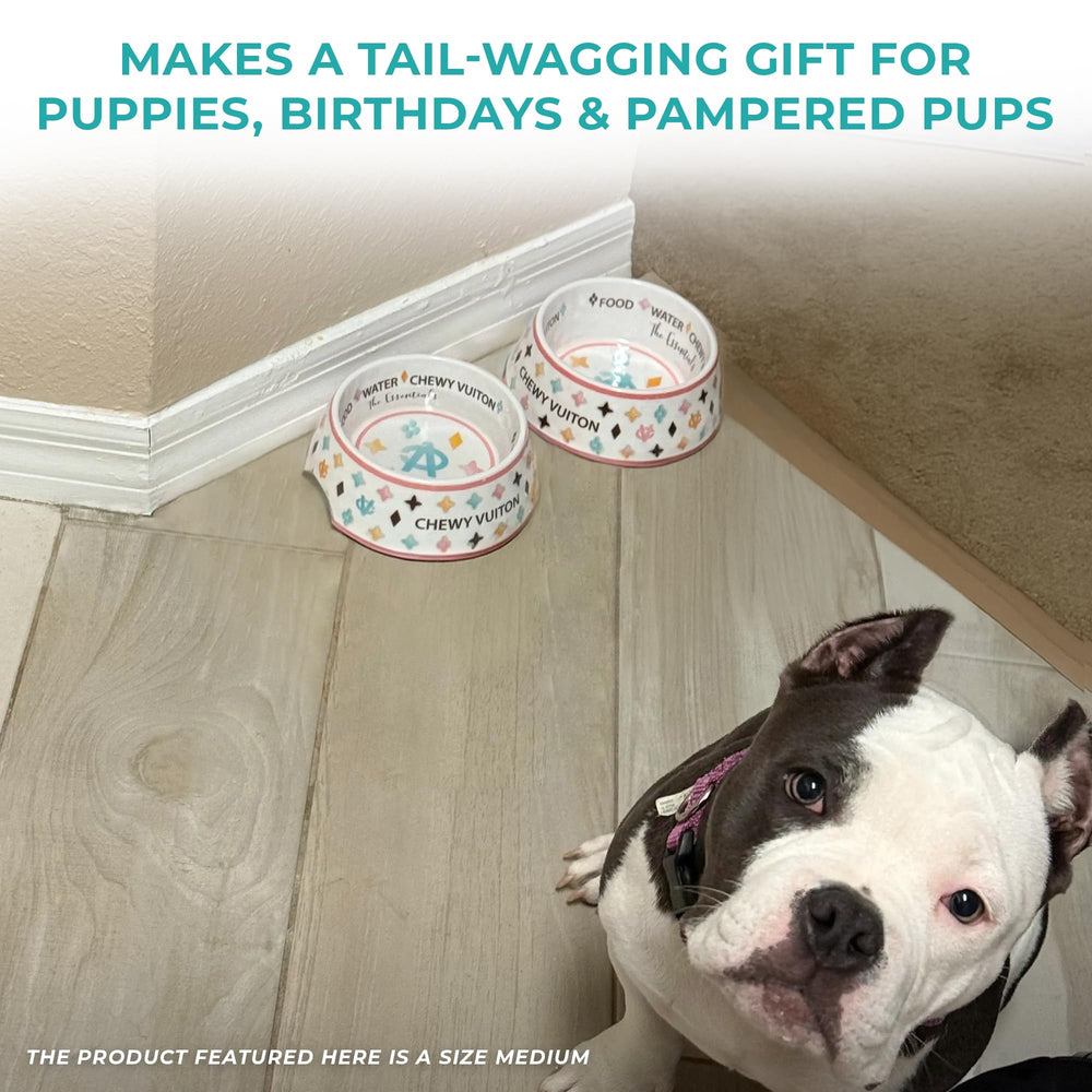 Tazón Haute Diggity Dog para perros y gatos, uso para comida o agua.