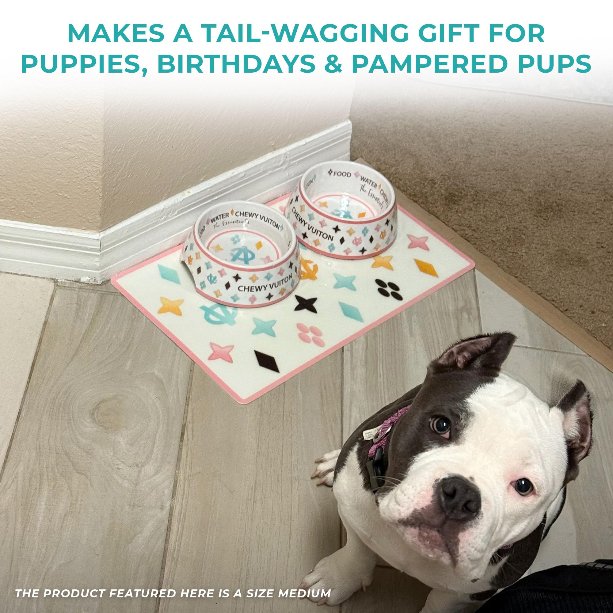 Uso diario con tazones Haute Diggity Dog para perros