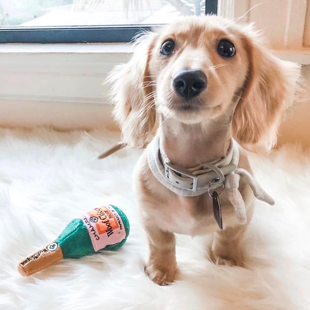 Woof Clicquot Rose tamaño pequeño para perros pequeños