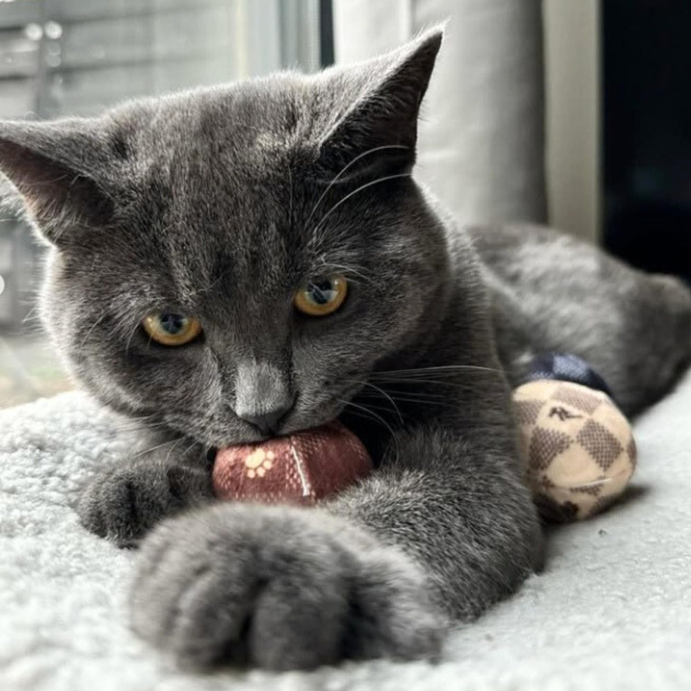 Juguetes Haute Diggity Kitty para gatos: diversión segura para diferentes tamaños