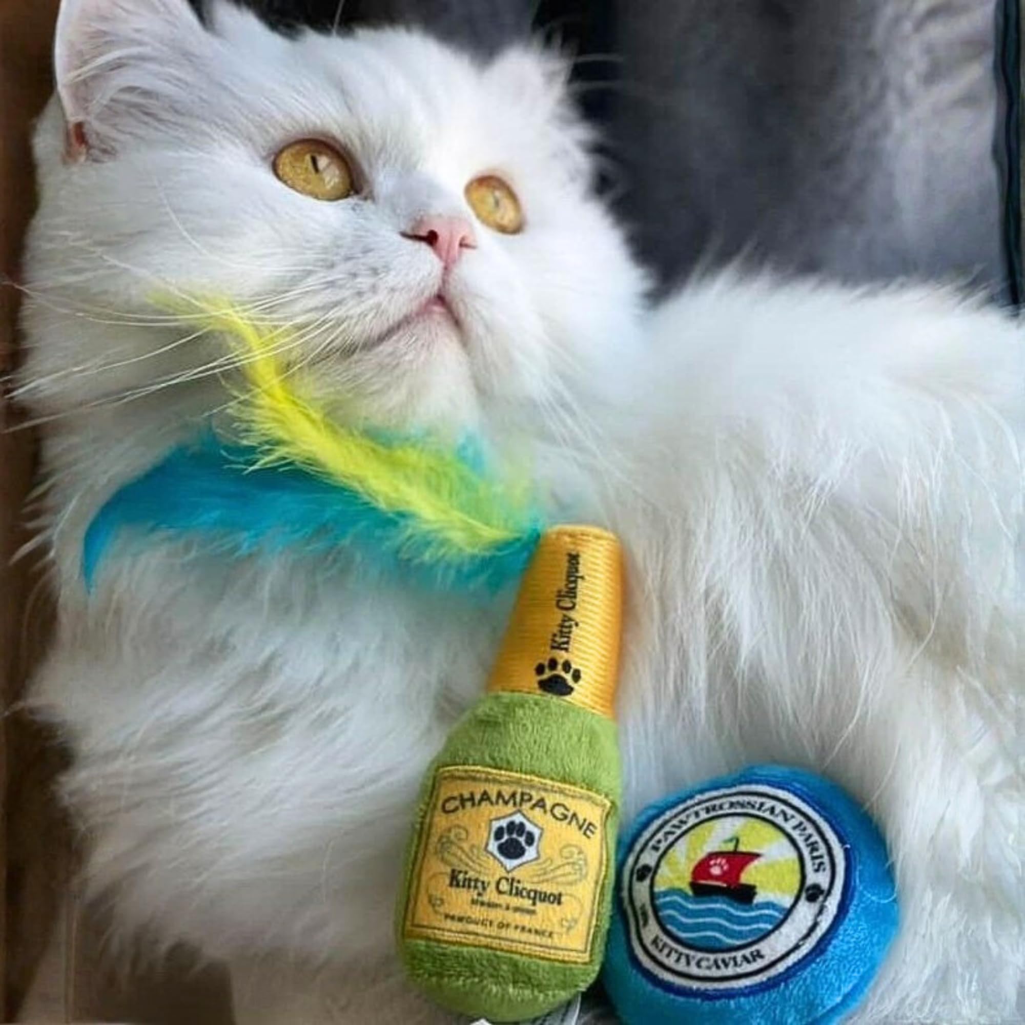 Haute Diggity Kitty Set de lujo: juguetes interactivos para gatos