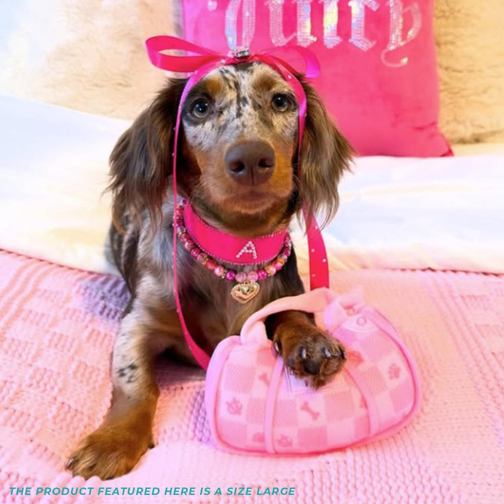 Regalo ideal para cachorros y perros de todos los tamaños.