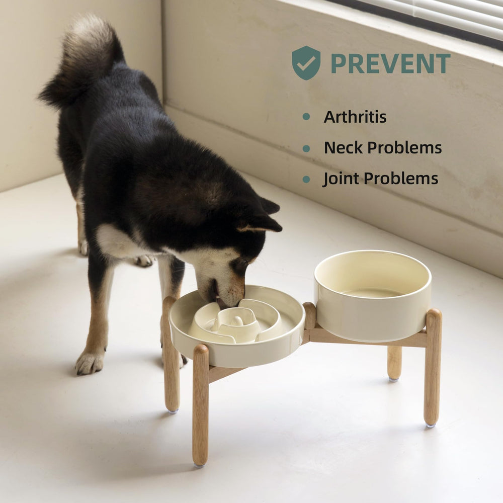 Havniva juego lento para perros medianos y grandes.