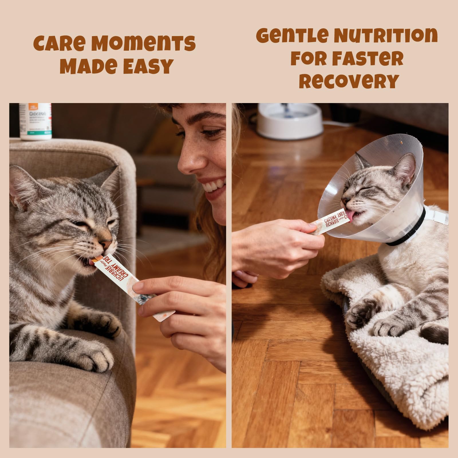 Havira aroma sabroso para gatos, incentivo de consumo