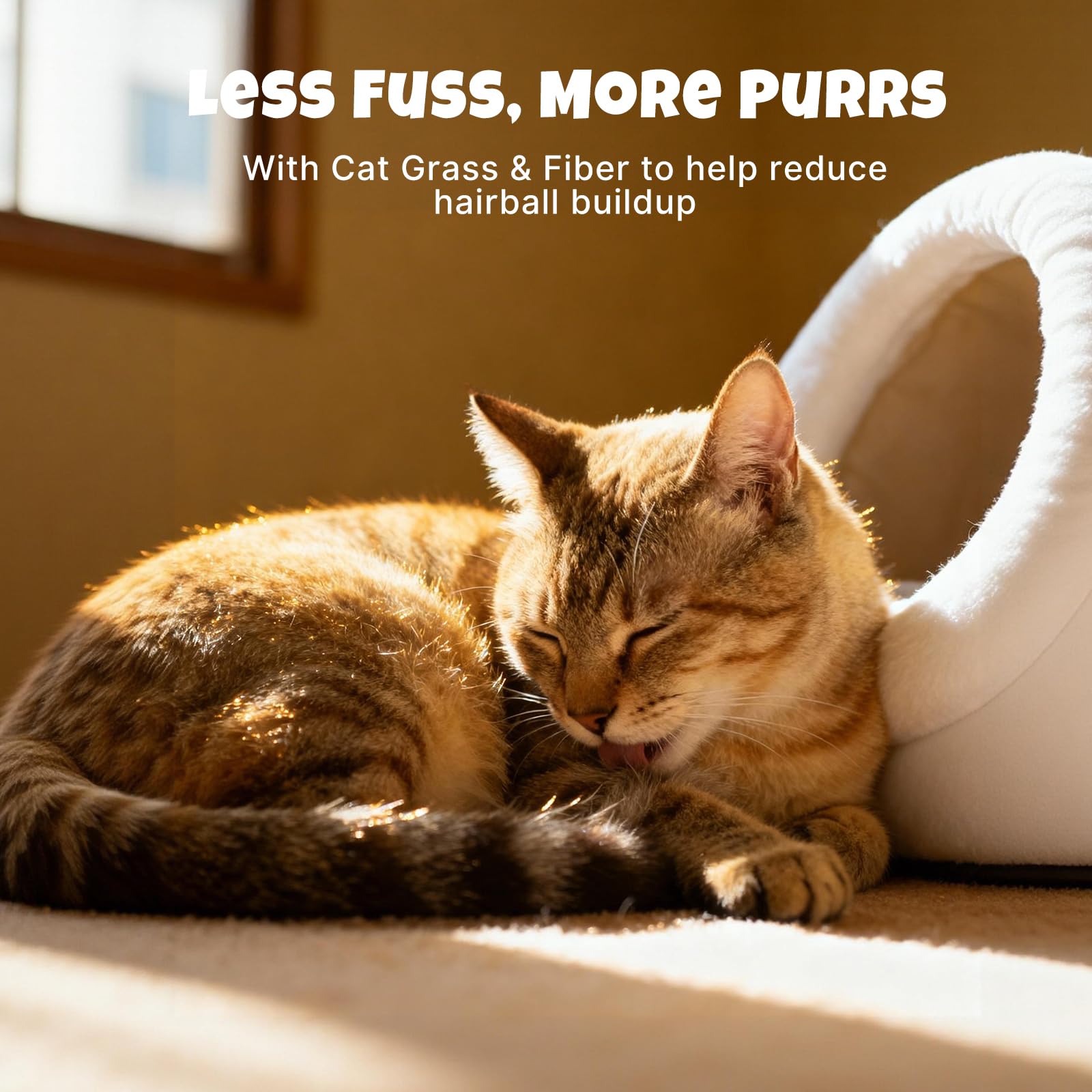 Havira hierba para gatos con pedacitos visibles para fibra de calidad